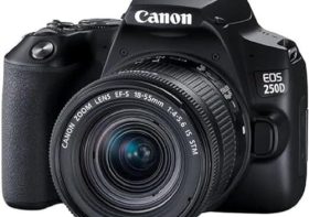 Avis complet sur le Canon EOS 250D : le reflex pensé pour apprendre